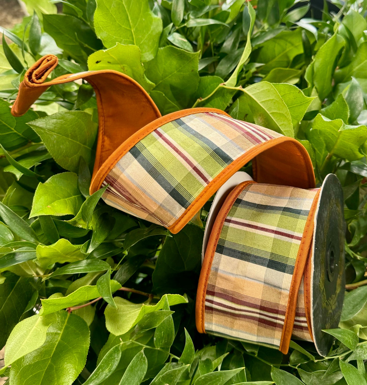 JME heavy wired ribbon. Dupion plaid with orange taffeta backing and piping. Heavy wired ribbon. 10yards by 2.5 inches