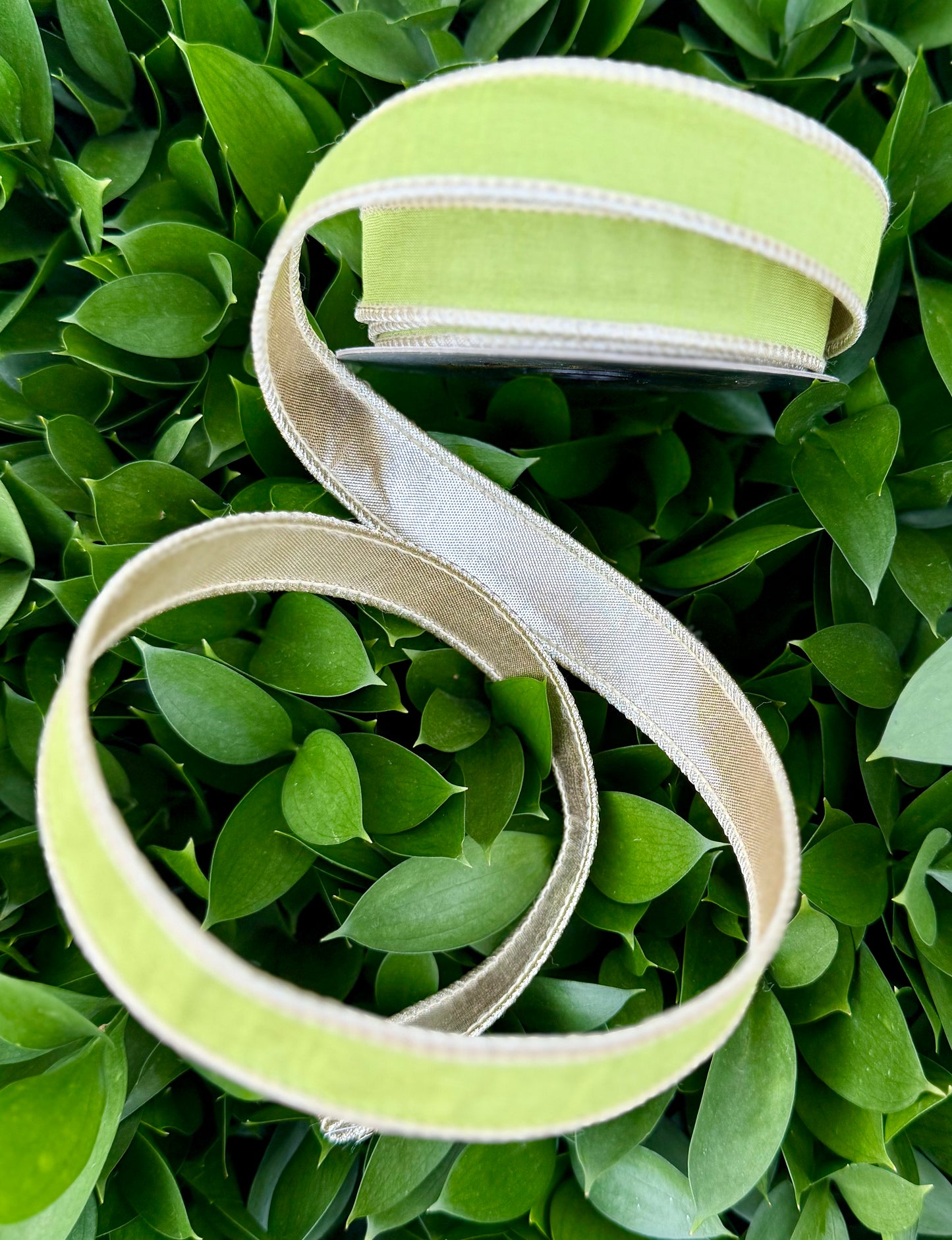 JME heavy wired ribbon. LIME GREEN Dupion with Champagne Metallic Back