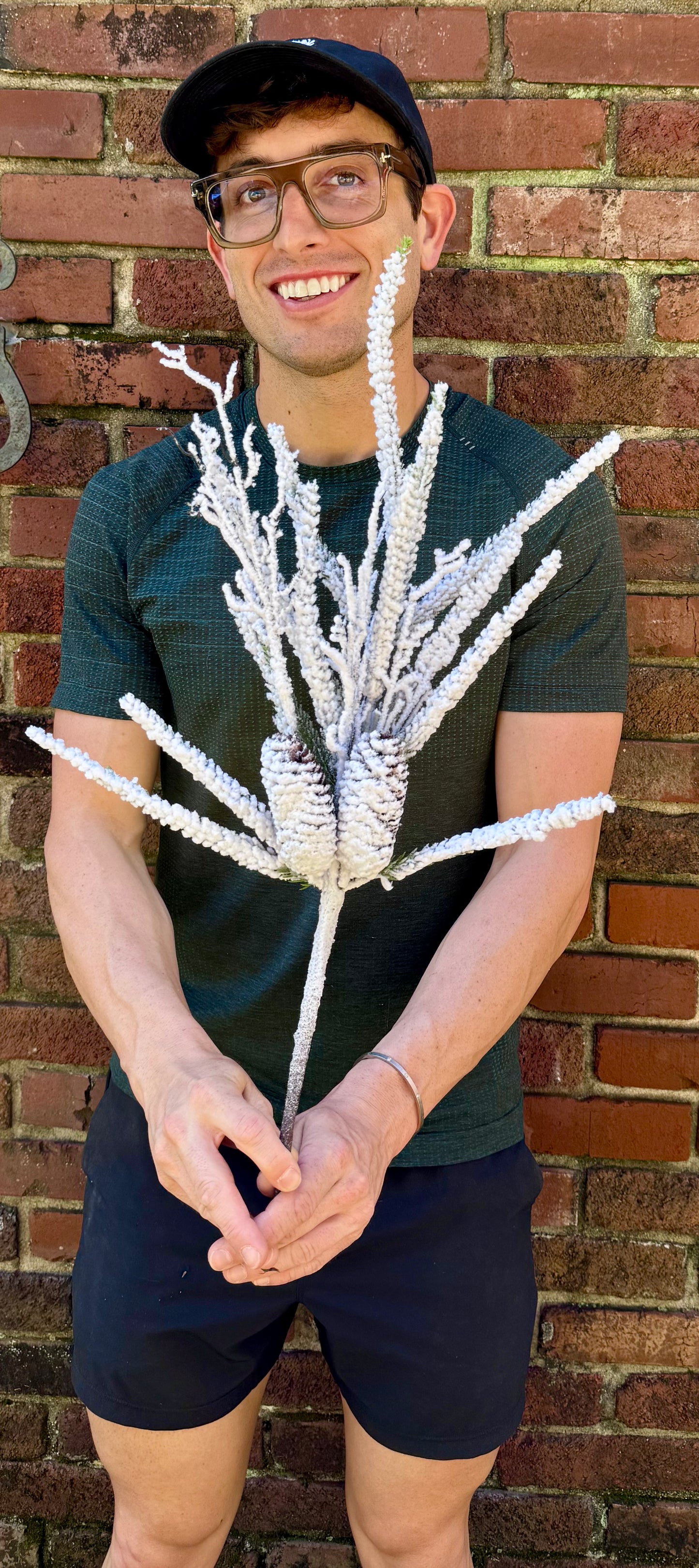 Winter snowy pick. About 24 inches long.