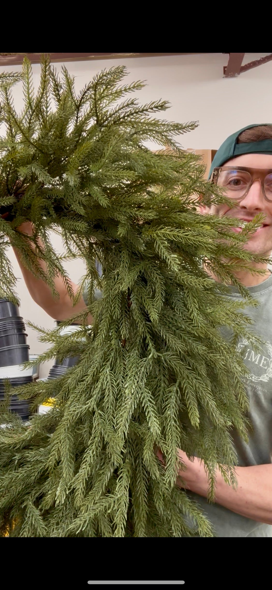 42 inch faux Northfolk Pine wreath. Very realistic feeling. Great for indoor or outdoor. 