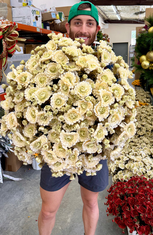 Faux WHITE/CREAM mum pot fillers. Can fluff out after shipping. Container (the white pot that will go inside your pot) the mums are in is 10inches wide by 9inches tall.