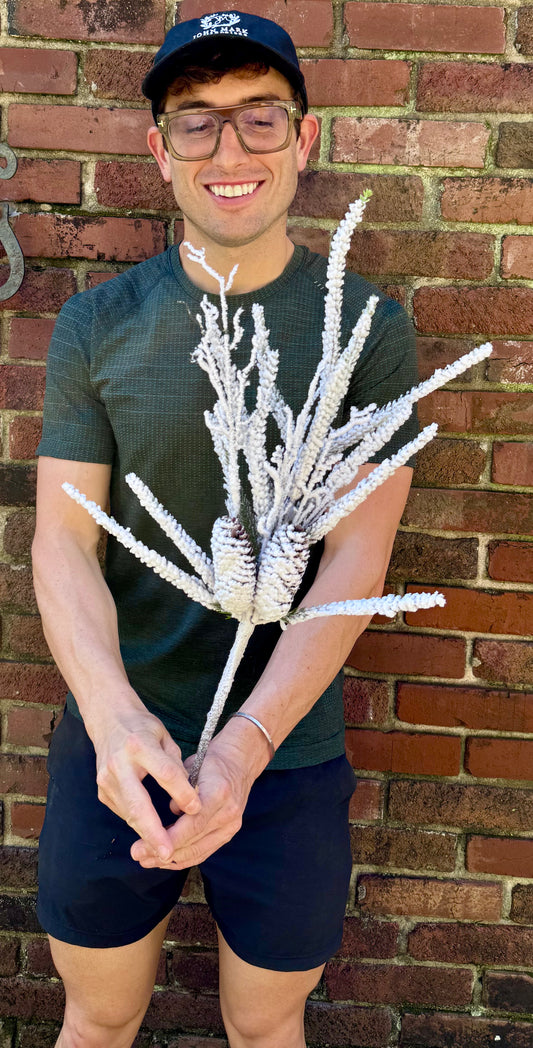 Winter snowy pick. About 24 inches long.