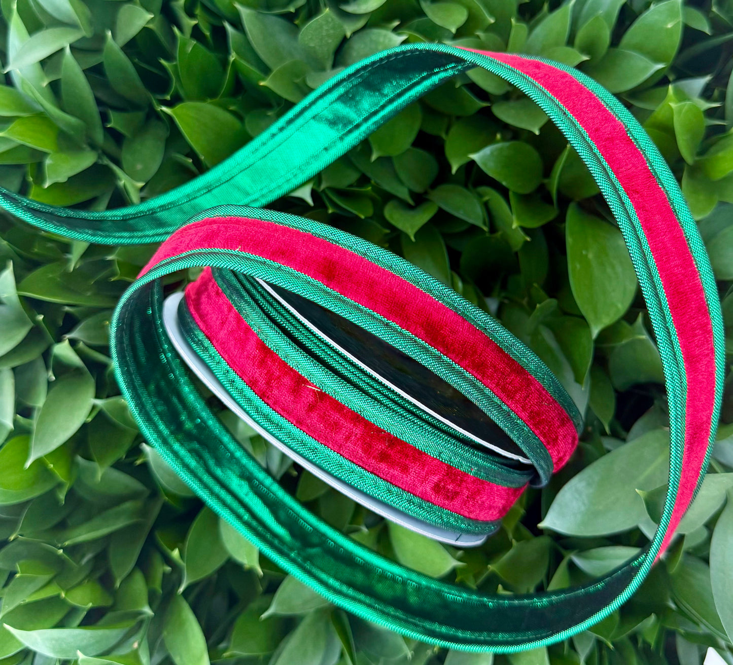 JME heavy wired ribbon. RED Velvet with Green Metallic Back