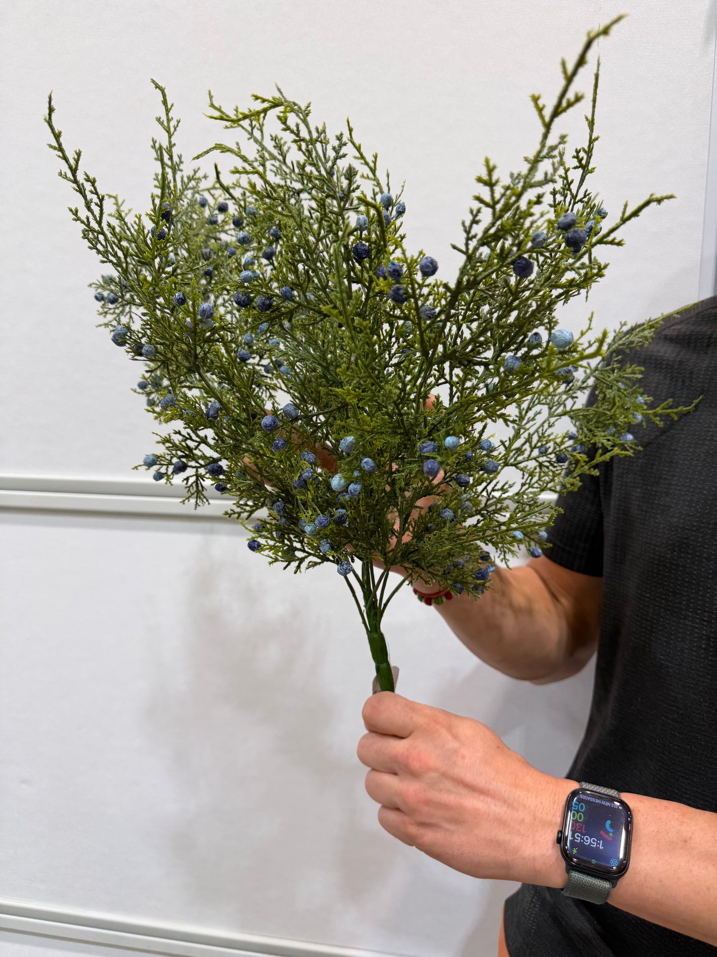 21"L Blue Oregon Juniper/Berry Bush