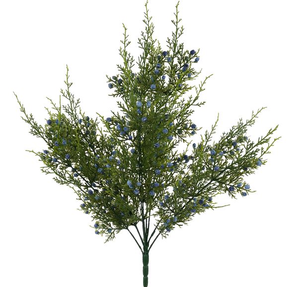 21"L Blue Oregon Juniper/Berry Bush