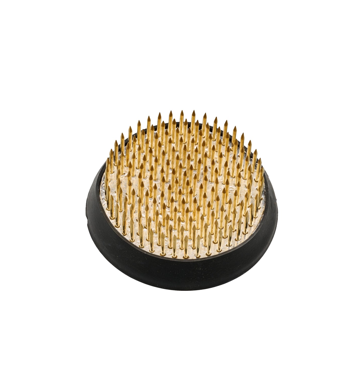 2.25 inch diameter brass floral pin frog anchor