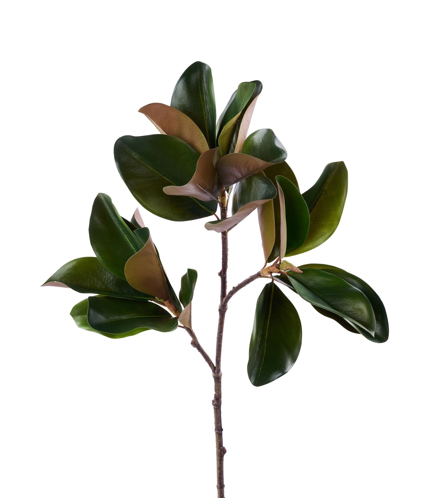 41in Magnolia Leaf Branch - Default Title