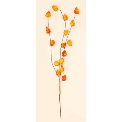 Large Lantern Spray, Orange