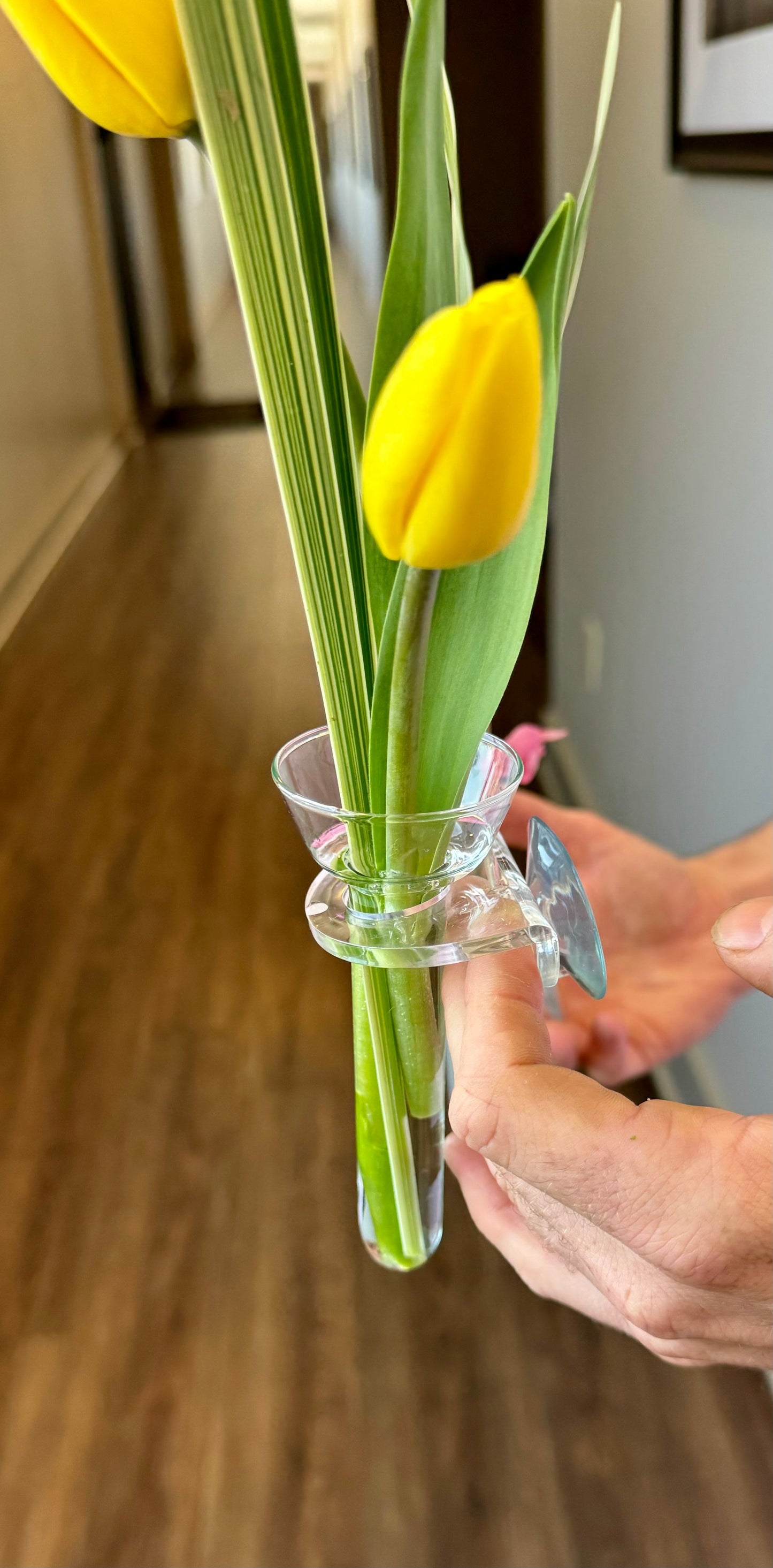 Flower holder vase and suction cup.