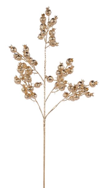 31"L Pomegranate Spray