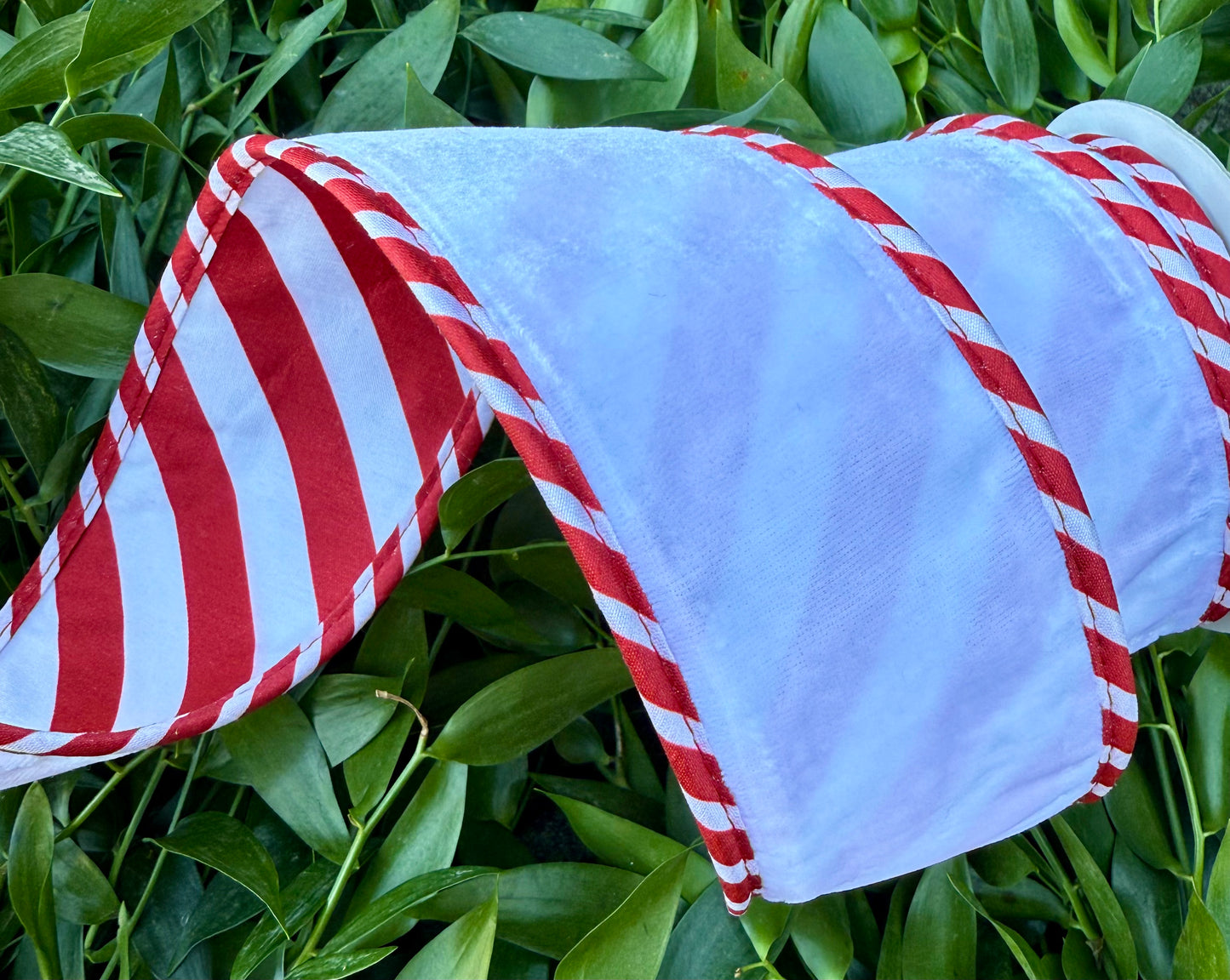 JME heavy wired ribbon. White velvet with candy cane piping and a candy cane red and white back. 2.5“ x 5 yards.