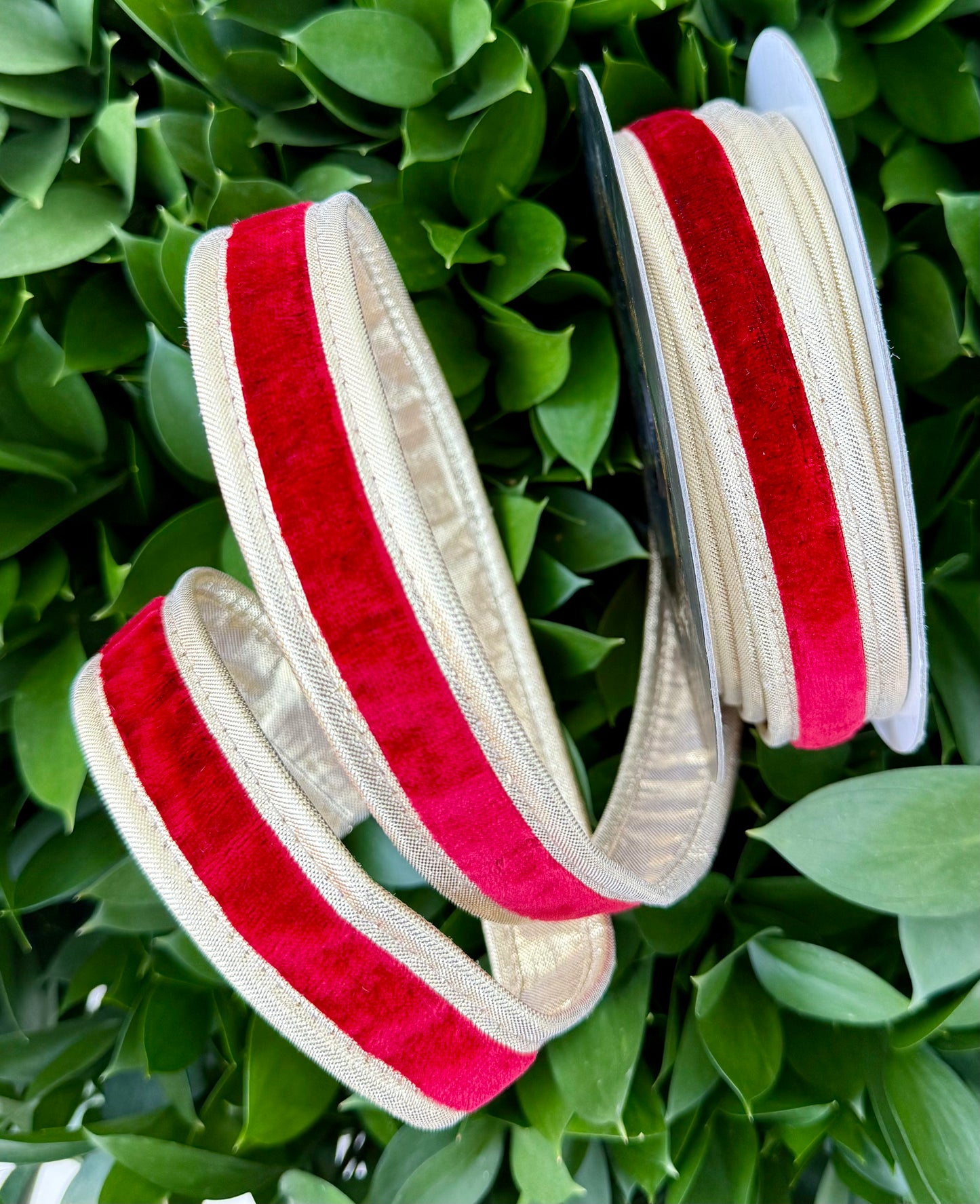 JME heavy wired ribbon. RED Velvet with Gold Metallic Back