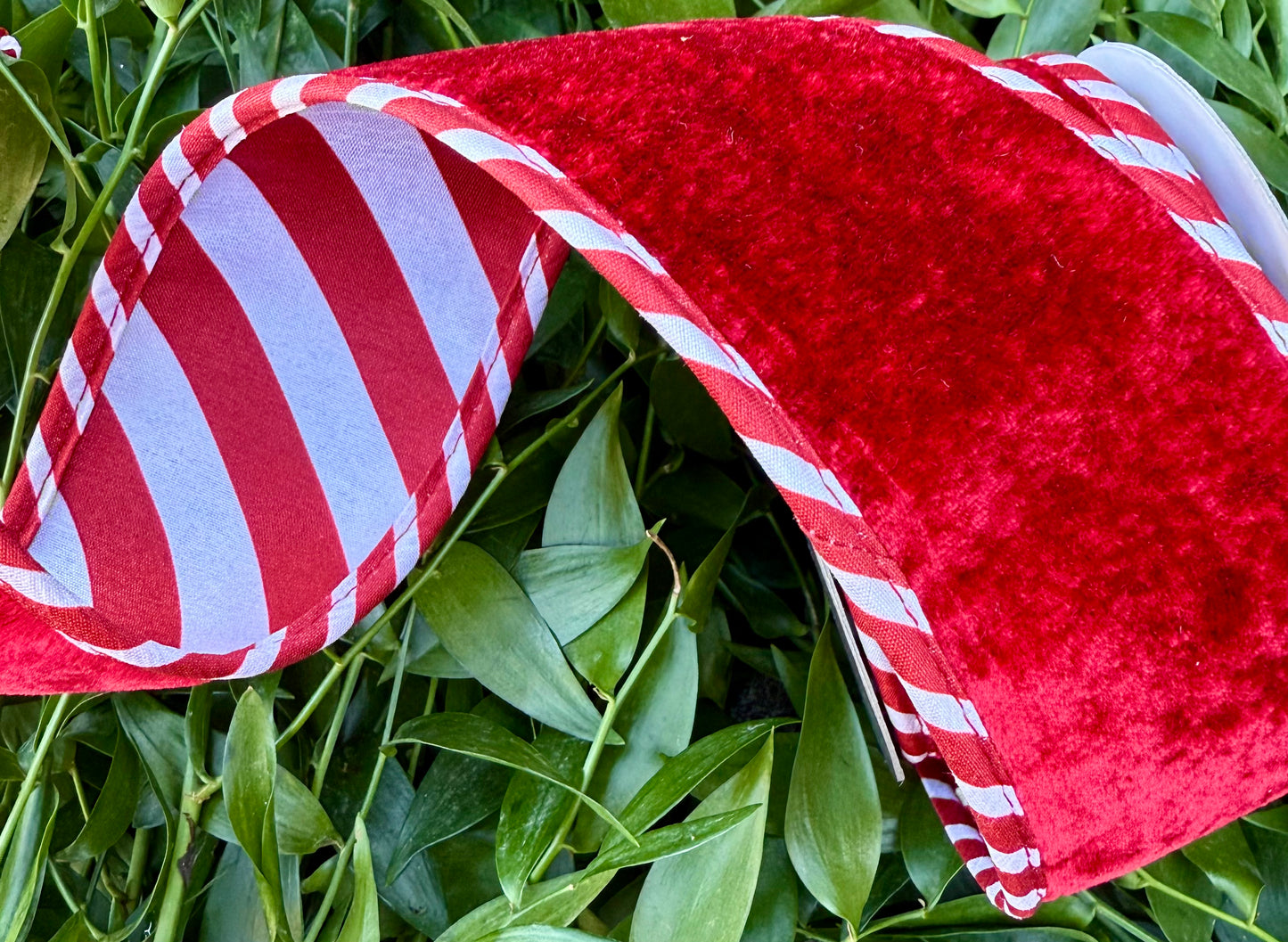 JME heavy wired ribbon. Red velvet with candy cane piping and a candy cane red and white back. 2.5“ x 5 yards.