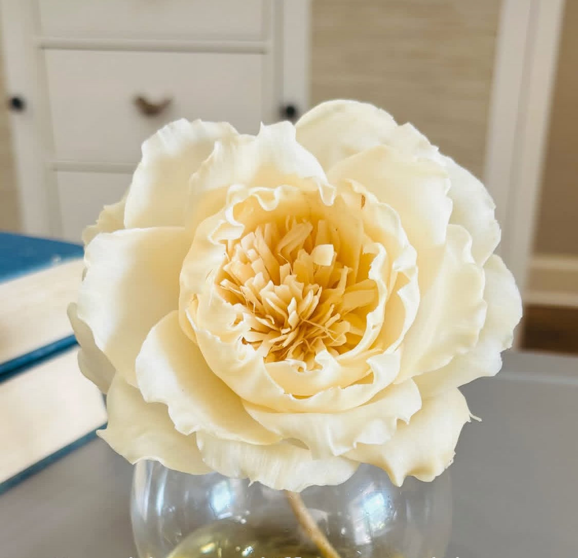 Paper Diffuser Insert Paper flower oil diffuser with glass bubble vase. SINGLE BLOOM. “Y’all ...