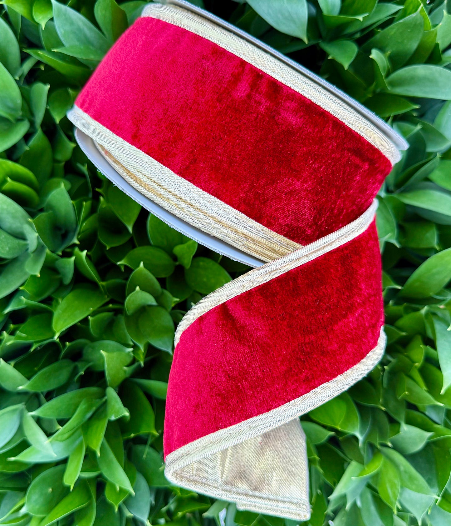 JME heavy wired ribbon. RED Velvet with Gold Metallic Back
