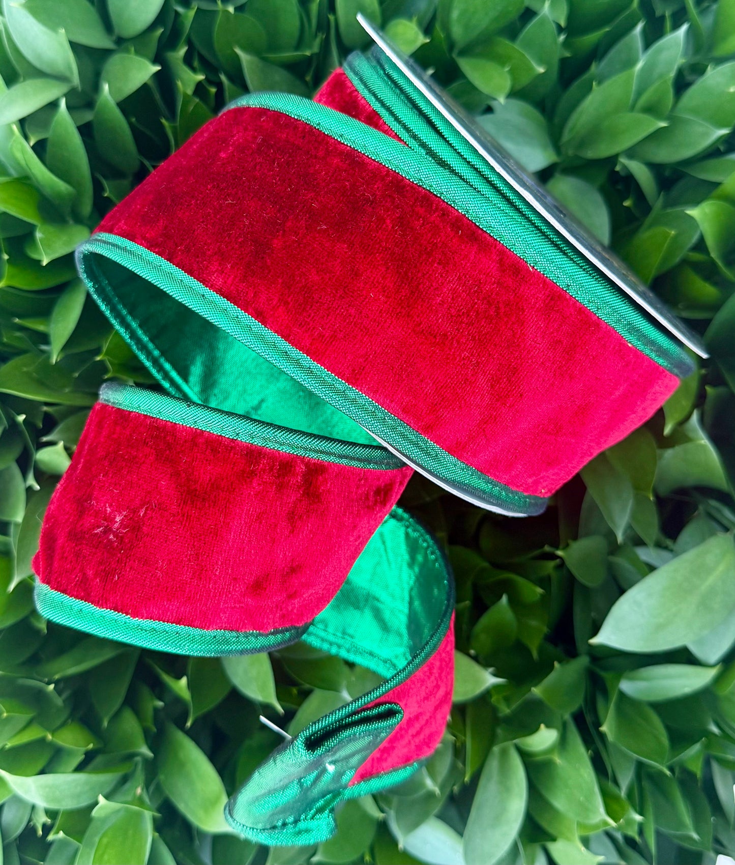 JME heavy wired ribbon. RED Velvet with Green Metallic Back