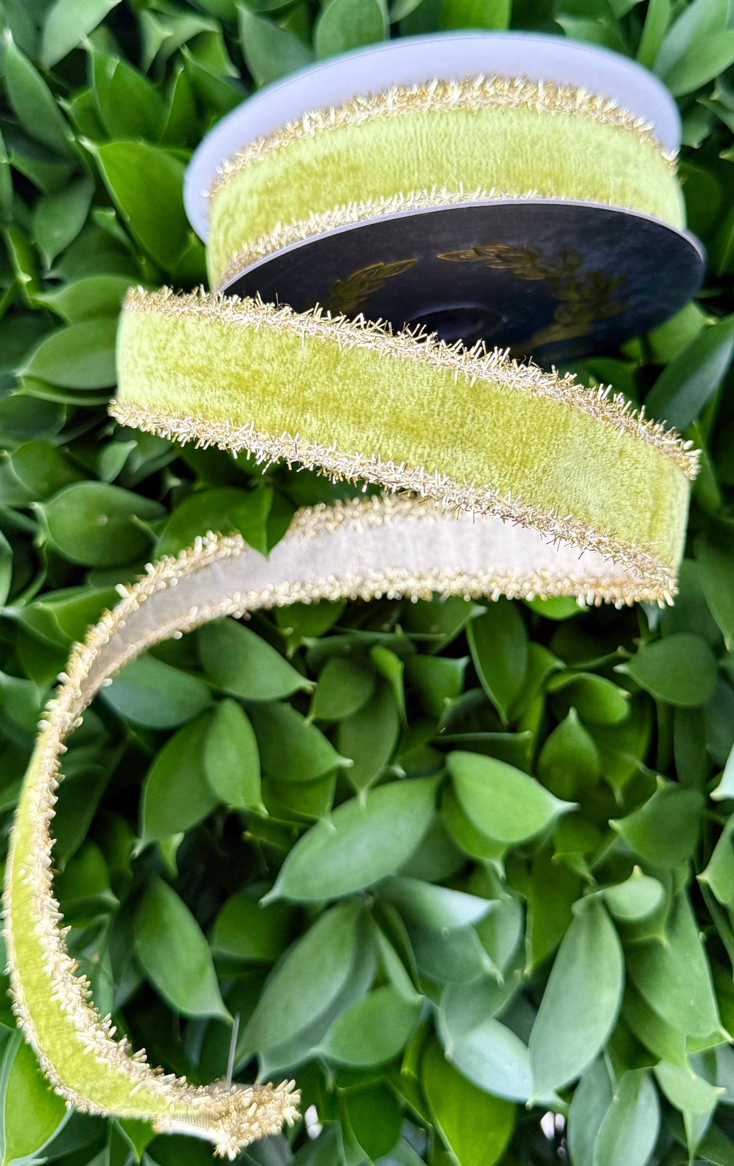 JME heavy wired ribbon. APPLE GREEN Velvet with Gold Tinsel Edge and Gold Metallic Back