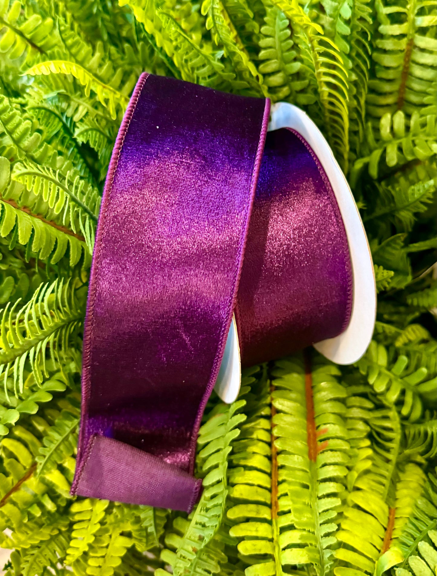 Purple velvet with purple dupion backing. 2.5in by 10 yards