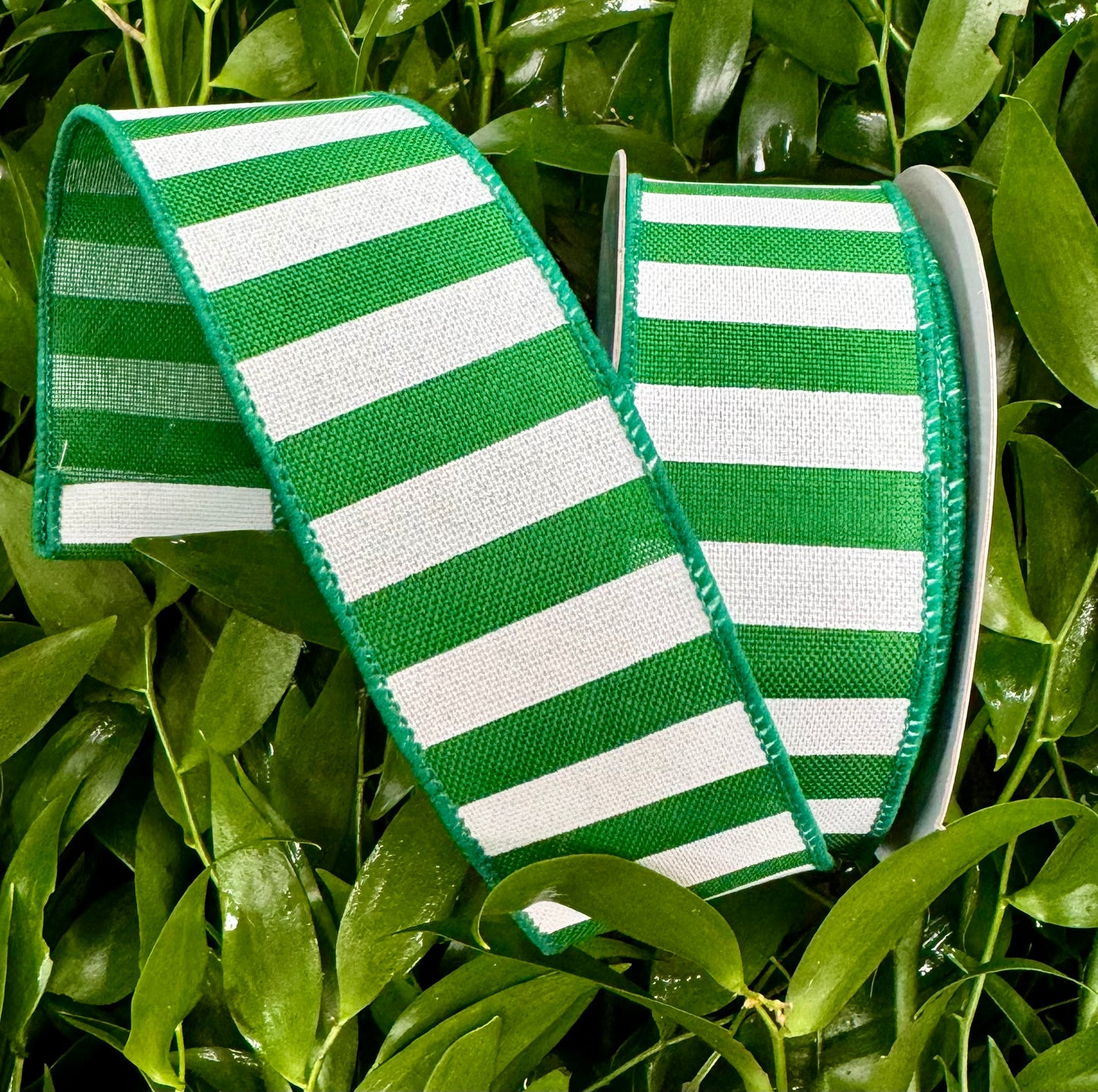 Bright green/white
Vertical stripe
Wired Ribbon
1.5" x 10 yd.