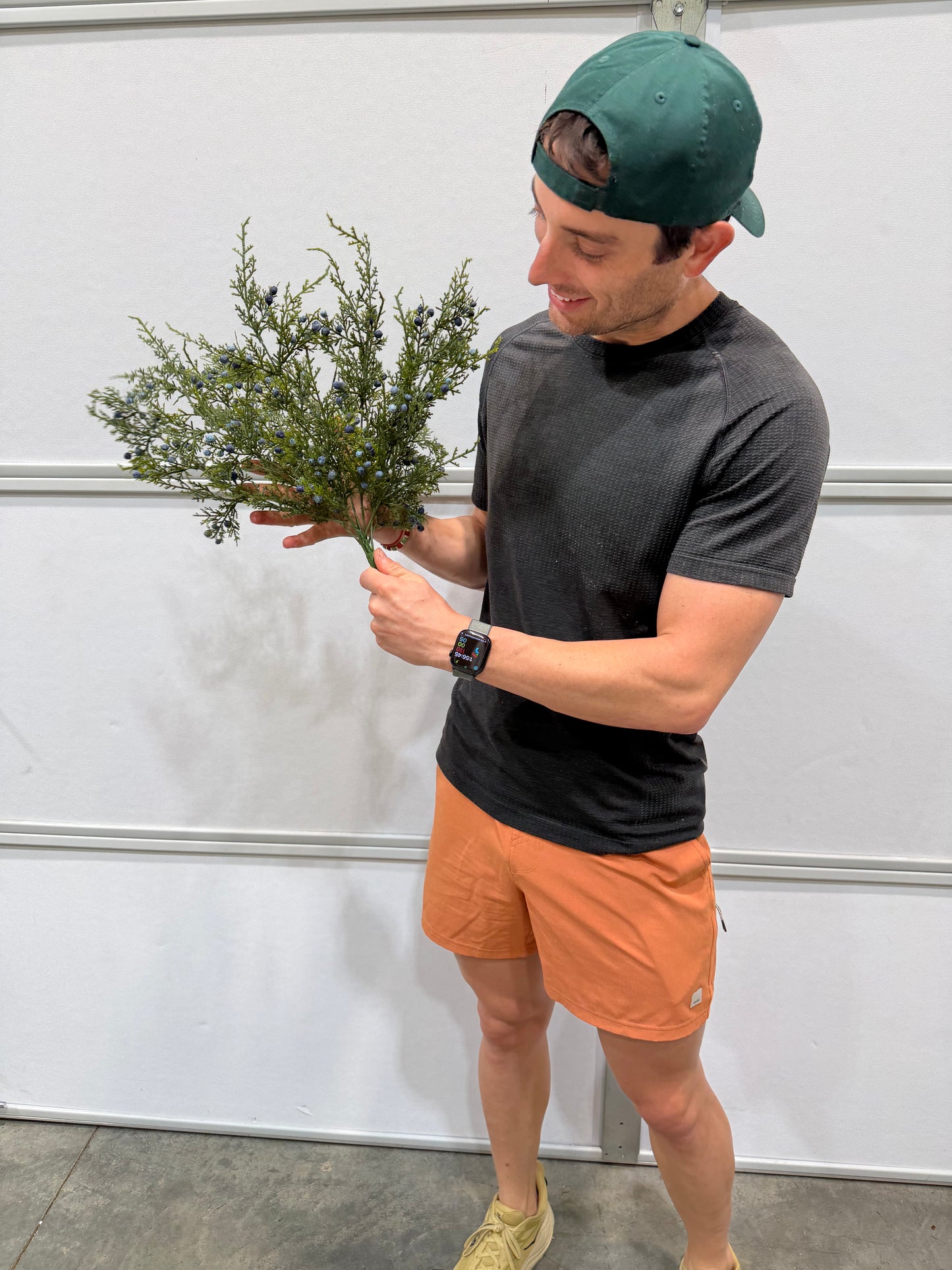 21"L Blue Oregon Juniper/Berry Bush