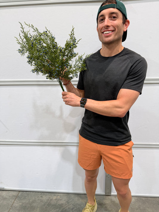 21"L Blue Oregon Juniper/Berry Bush