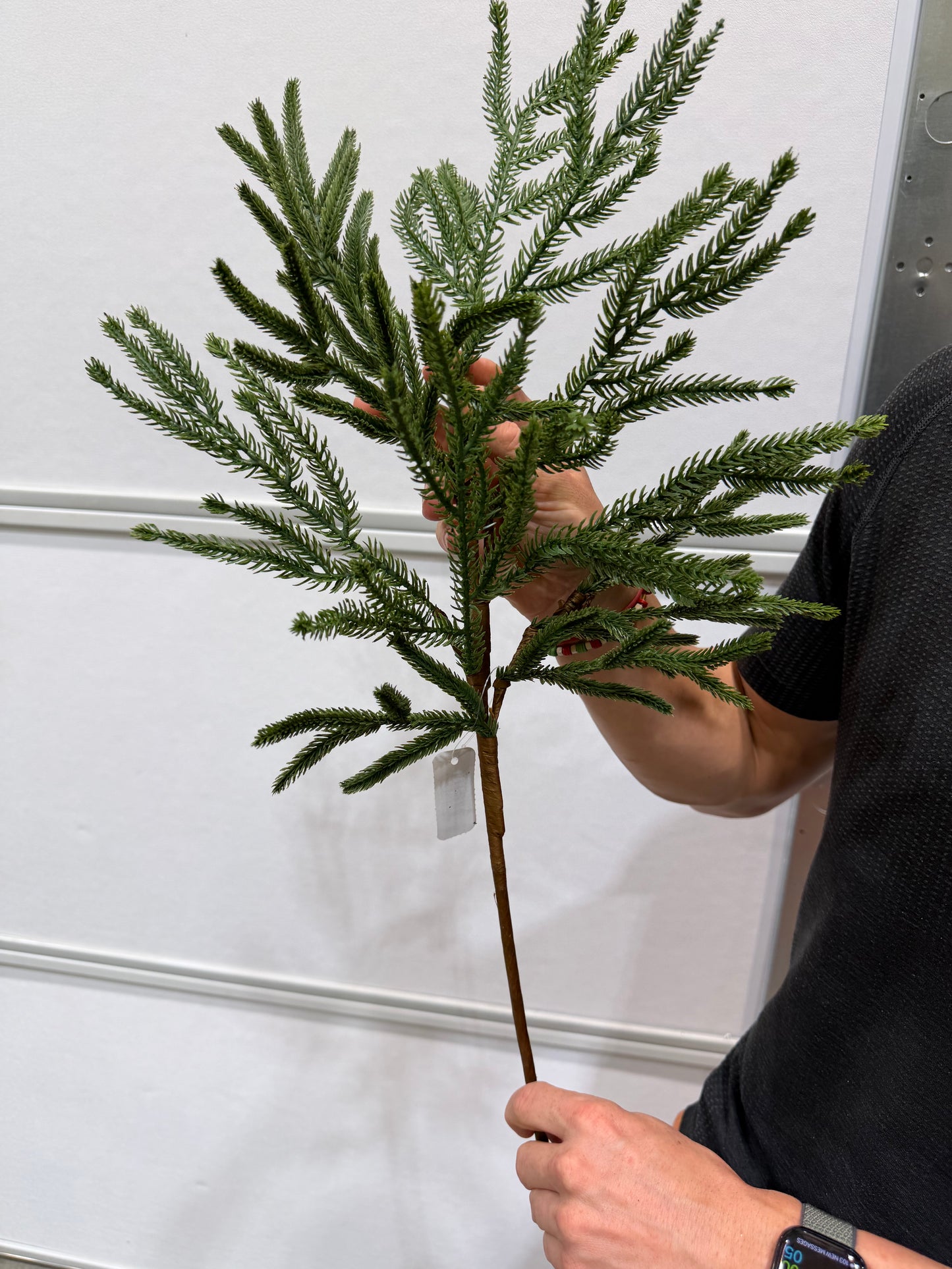 24"L Willow/Norfolk Pine Spray