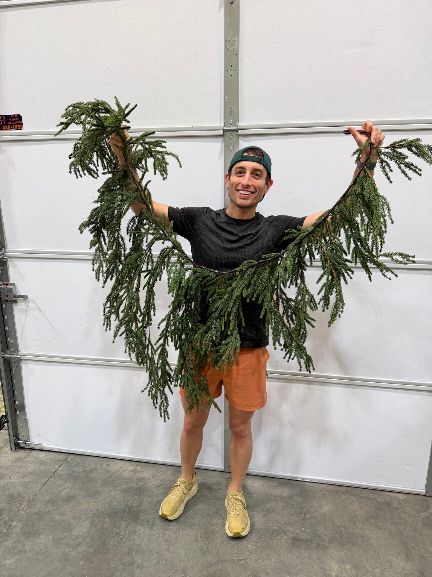 6'L Willow/Norfolk Pine Mantle Garland