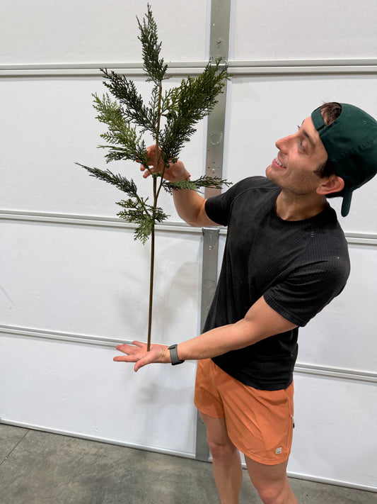 36"L Cedar/Cone Buds Spray