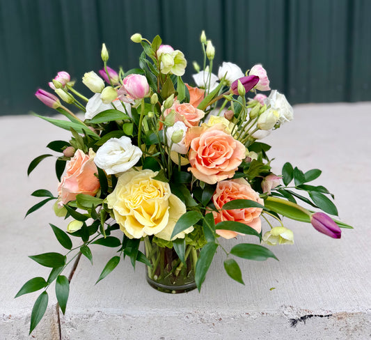 A Mothers Embrace - Pick up