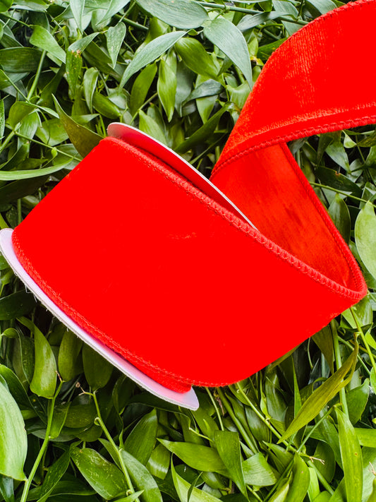 JME heavy wired ribbon. Burnt Orange velvet with taffeta back 2.5" x 10 yards