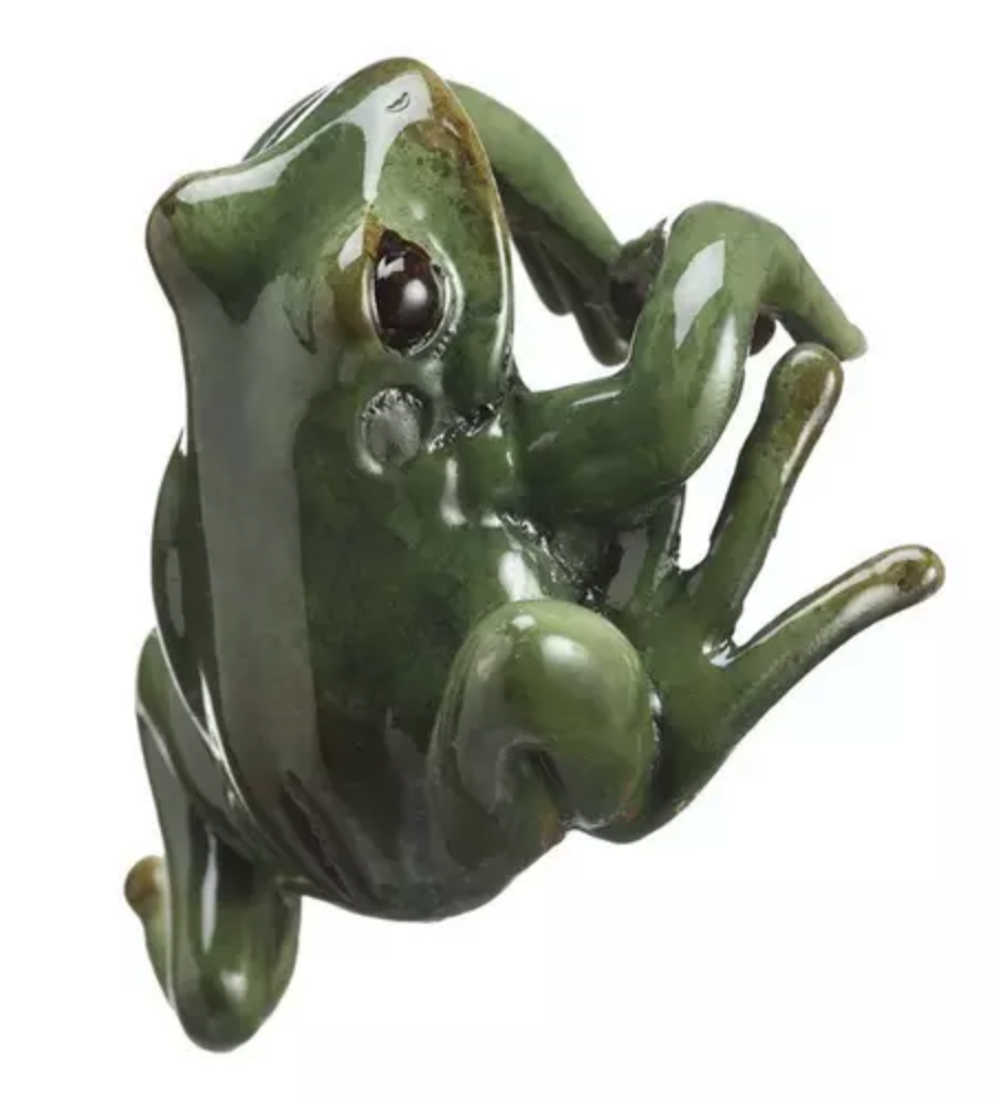Hanging Green Frog