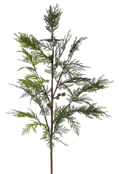 36"L Cedar/Cone Buds Spray